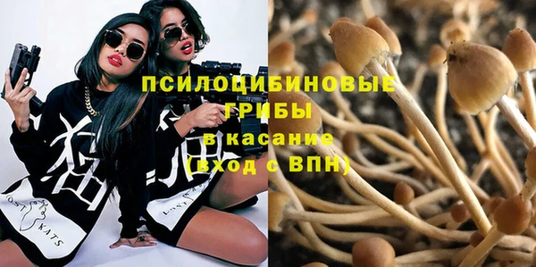 кокаин премиум Богданович