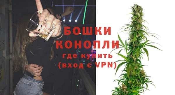 гидра Сосновоборск