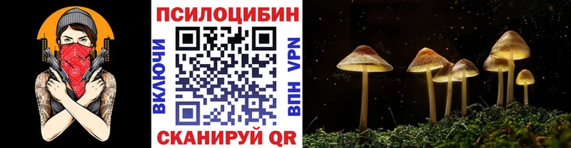 где купить наркотик  Буйнакск  Псилоцибиновые грибы MAGIC MUSHROOMS 